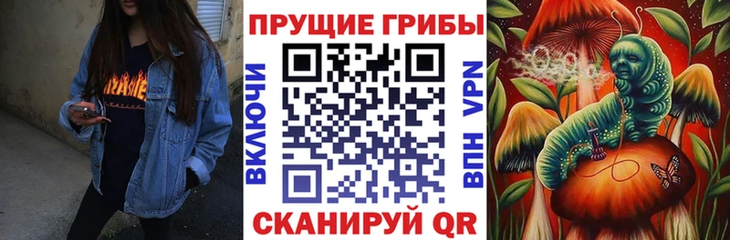 мега ссылки  Чистополь  Псилоцибиновые грибы Psilocybine cubensis  купить  сайты 